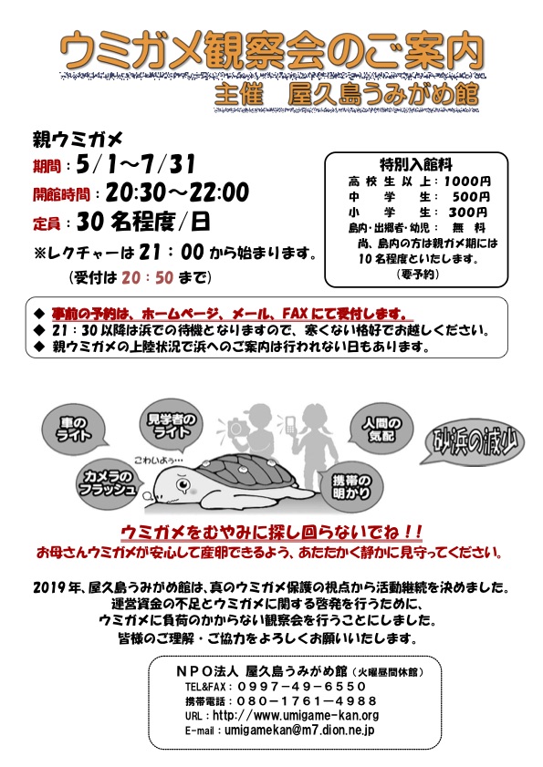 2019年親ガメ観察会チラシ