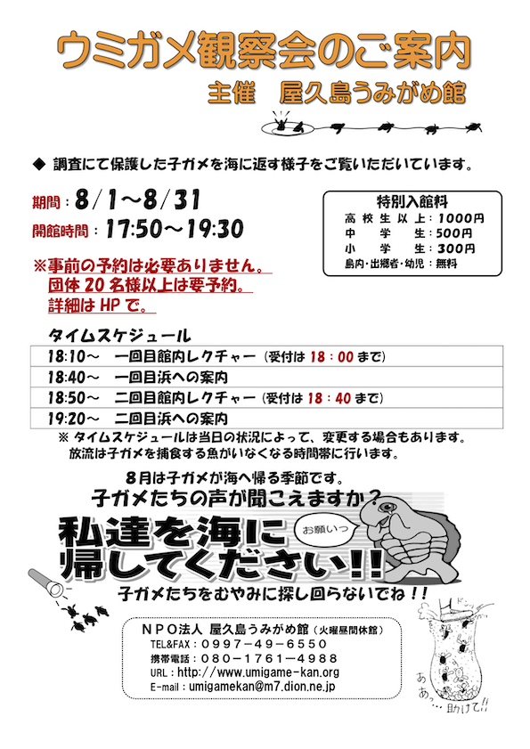 2019年子ガメ観察会チラシ